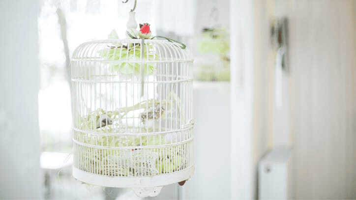 Jaula con un pájaro posada en el alféizar de una ventana en una habitación rústica.
