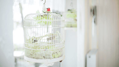 Jaula con un pájaro posada en el alféizar de una ventana en una habitación rústica.