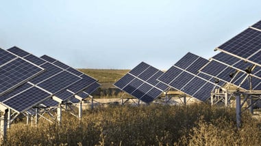 Placas solares en un terreno