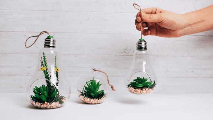 Plantas decorativas dentro de bombillas