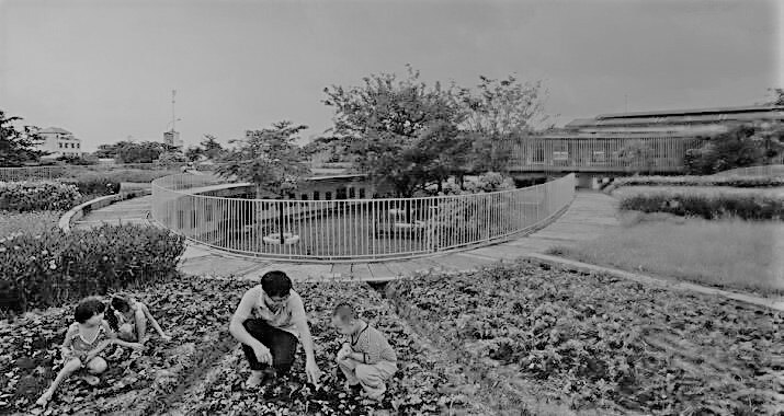 Personas cultivando en un huerto comunitario