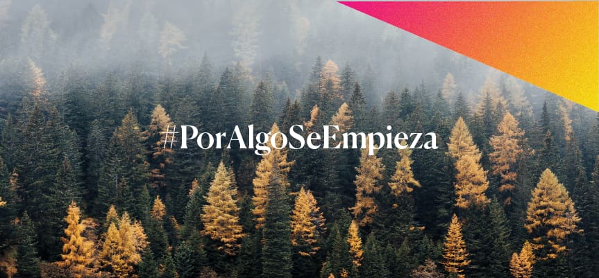 Bosque con el hashtag Por Algo Se Empieza sobreimpreso