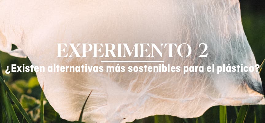 Primer plano de una bolsa plástica atrapada entre plantas, con el texto 'EXPERIMENTO 2: ¿Existen alternativas más sostenibles para el plástico?' superpuesto