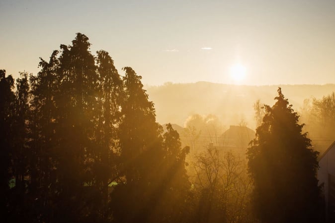 Paisaje con árboles y casas al amanecer, con el sol brillando a través de la neblina