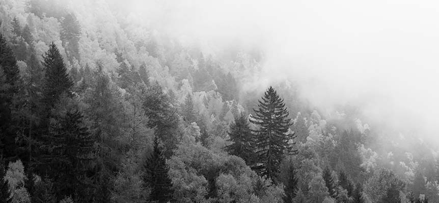 environmental_3