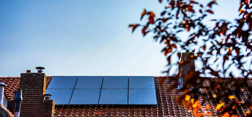 Tejado de una casa con placas solares instaladas, con hojas de un árbol en primer plano y un cielo despejado de fondo