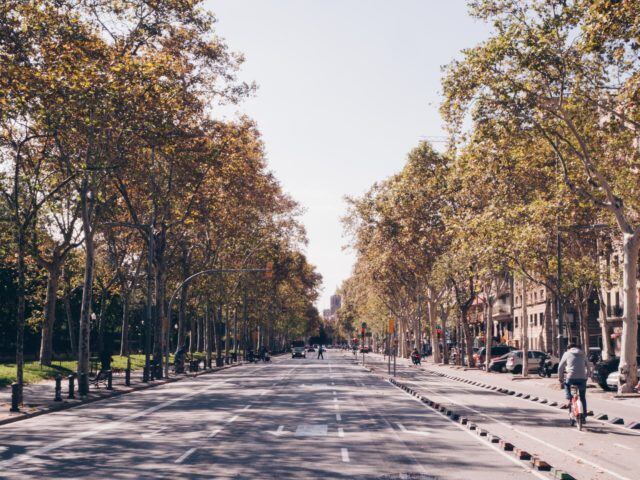 Calle arbolada con carril bici y edificios a los lados en una ciudad