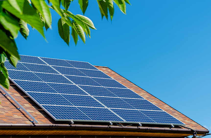 Tejado con placas solares y hojas de un árbol en primer plano